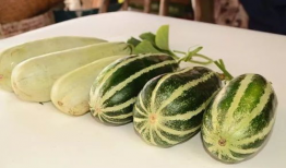 网红吃瓜今日热门吗,今日热门话题盘点